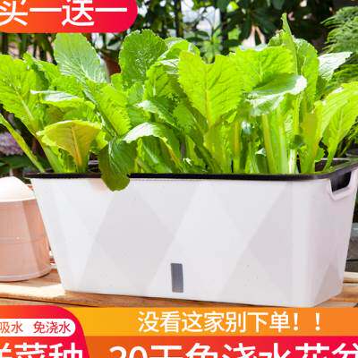 室内懒人花盆自吸水免浇水培种菜盆专用箱长方形绿箩阳台长条塑料
