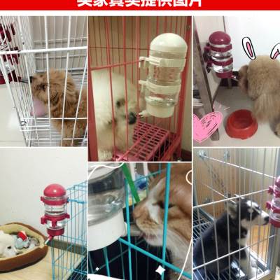 狗狗饮水器泰迪自动饮水瓶悬挂式猫咪饮水壶比熊喝水瓶子宠物用品