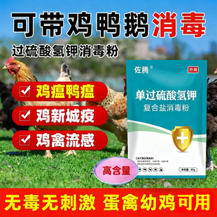 鸡圈消毒液养殖场专用过硫酸氢钾消毒剂鸡鸭消毒水鸡舍专用消毒液