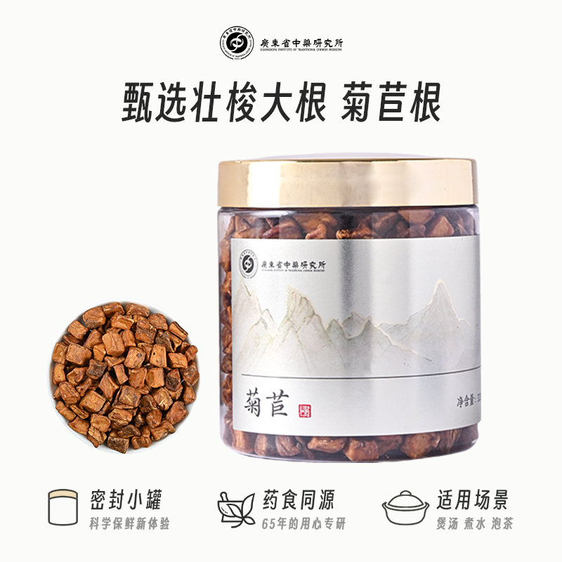 中药材正宗菊苣大根养生茶