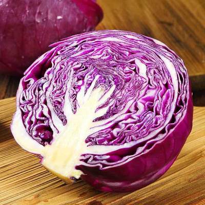 紫甘蓝种子紫色包菜种籽紫云春秋卷心菜大头菜特色蔬菜种子洋白菜