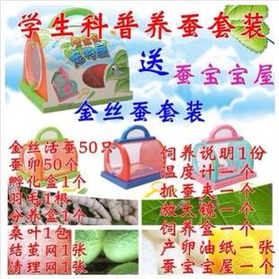 彩色蚕宝宝小学生养蚕全套工具套装蚕卵专用饲养盒子太空舱笼子