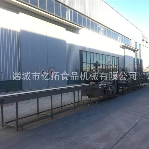 销售臭氧消毒辣椒清洗机 果蔬去残留洗菜机蔬菜清洗成套流水线
