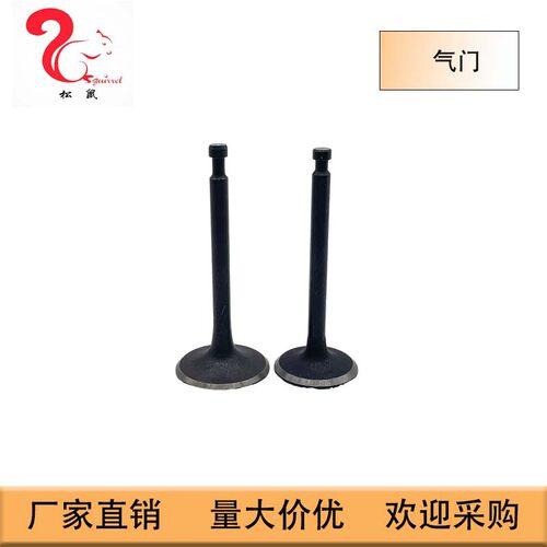适用于汽油发动机gx620气门In&Ex Valves