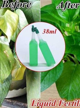 38ml Hydroponic Plant Nutrient Solution Fertilizer Bamboo Fl