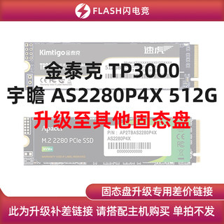 金泰克 TP3000/AS2280P4X/M450 512G升级其他固态盘 单拍不发