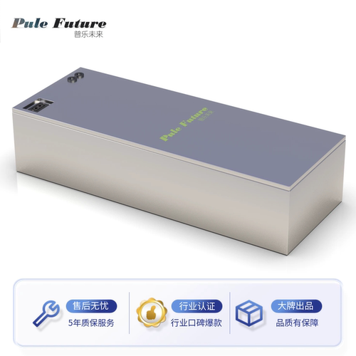 普乐未来九号E100直上锂电池