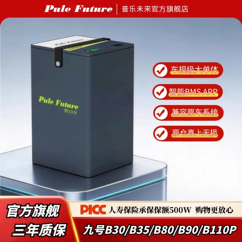 普乐未来九号B90直上锂电池48V