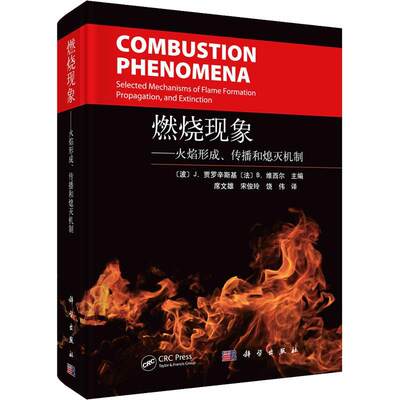 正版  现货  速发 燃烧现象:火焰形成、传播和熄灭机制:selected mechanisms of flame formati9787030685223 科学出版社自然科学