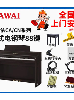 卡瓦依KAWA数码I电钢琴88键重锤ES120/KDP120/CN201/CA301/CA401