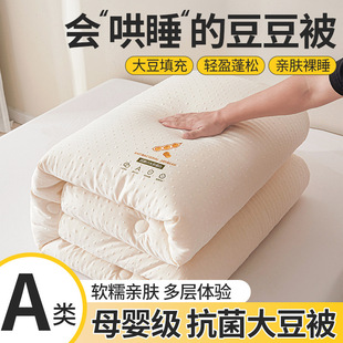 A类大豆豆按摩被加厚保暖被芯冬被学生宿舍春秋家用礼品被批发