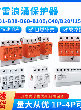 上海雷源浪涌保护器LYD1-C40/B60/D20/B100 2P/4P40KA防雷LYX-R24