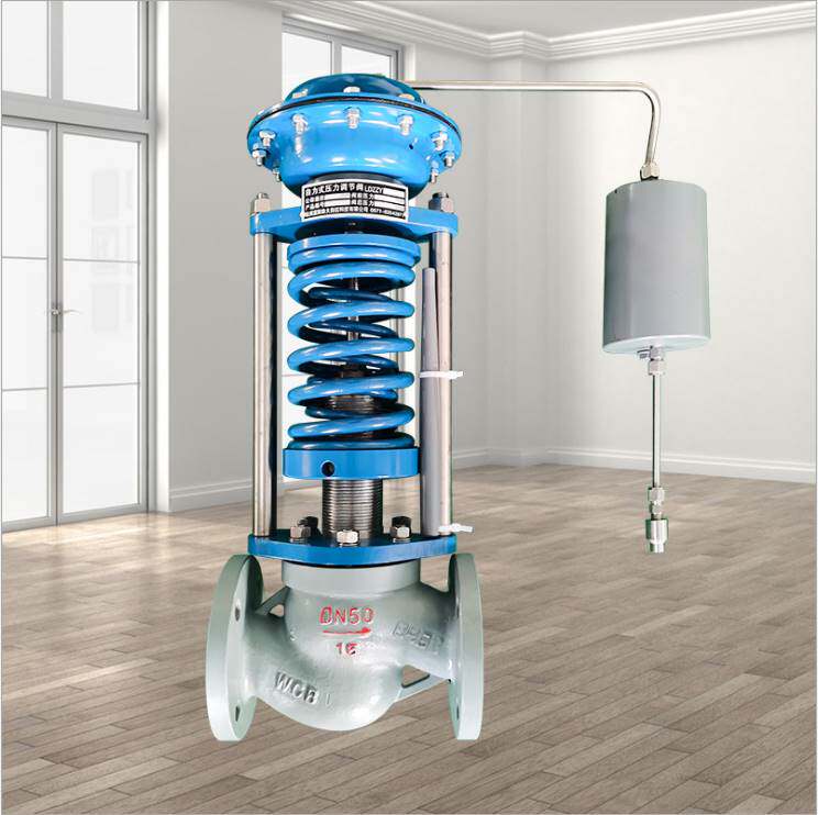 zzyp-16b自力式压力调节阀自力式蒸汽减压阀稳压阀自动排气阀dn50