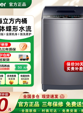 海尔洗衣机全自动家用波轮10公斤直驱一级变频租房EB100B32Mate1