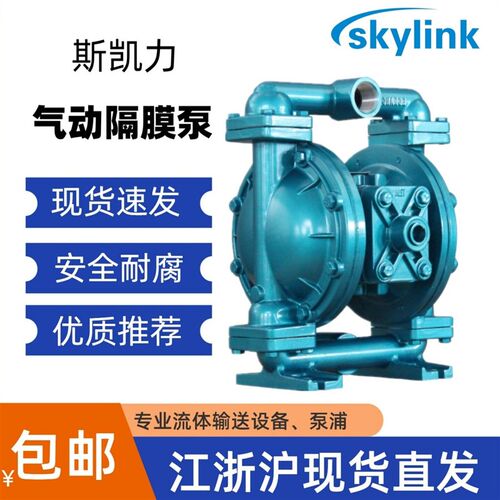 skylink斯凯力1寸气动隔膜泵LS25KSS-AA-T/S-TT-TT-00污水排污泵