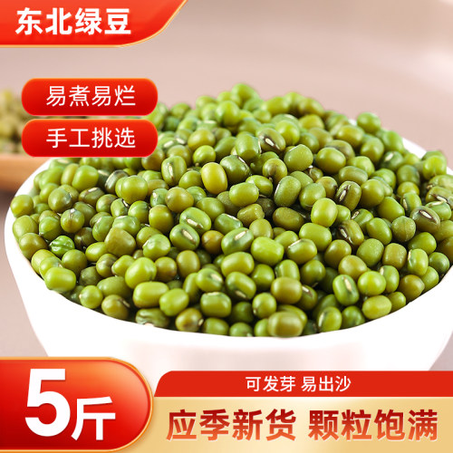 东北绿豆新鲜可发芽大颗粒