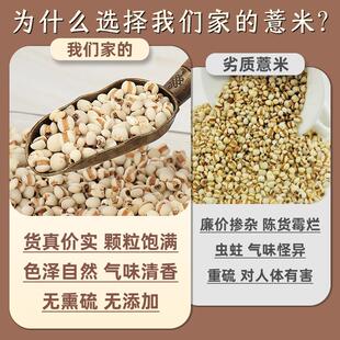 薏杂米薏仁干货粮贵州苡新货薏仁薏米仁五谷另售YDB赤小豆芡实莲