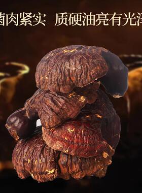 致青春野1外生长整灵芝约50克 整朵灵WTS芝可切片煲汤泡枝礼酒盒