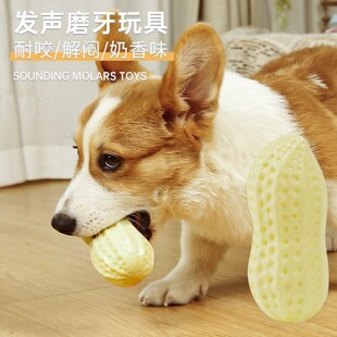 宠物狗发声玩具互动洁齿磨牙耐咬拉布拉多小中大型犬训练橡胶花生