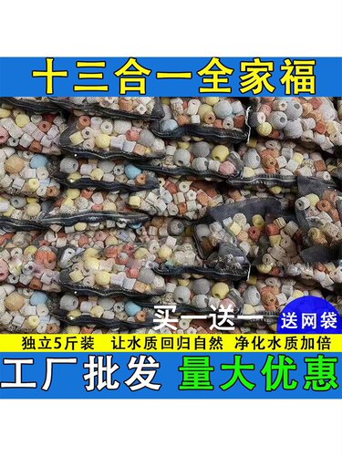 鱼池过滤材料鱼缸珊瑚骨火山石陶瓷环细菌屋活性炭生化球全套滤材-封面