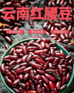 新货云南农家自产红腰豆 沙糯易煮口味香甜颗粒饱满饱五谷杂粮