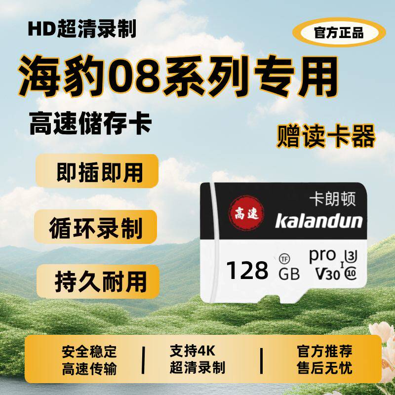 比亚迪海豹08EV行车记录仪专用内存卡海豹08Dmi哨兵存储卡tf卡sd