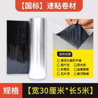 Национальный стандарт [длиной 30 см в длину X5].