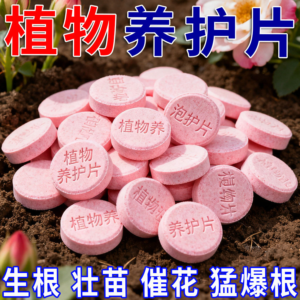 养花肥料片花卉植物养护片爆盆肥