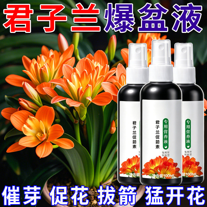 君子兰专用营养液防君子兰夹箭促开花治黄叶通用型液体营养有机肥