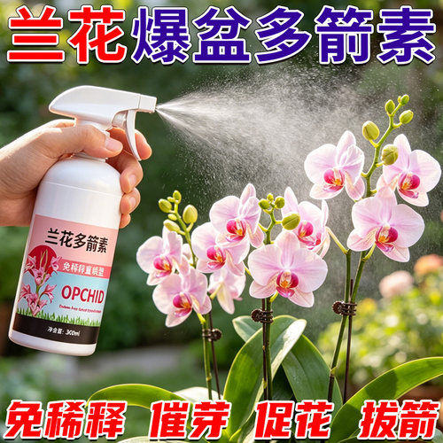 兰花多箭素爆芽素专用营养液蝴蝶