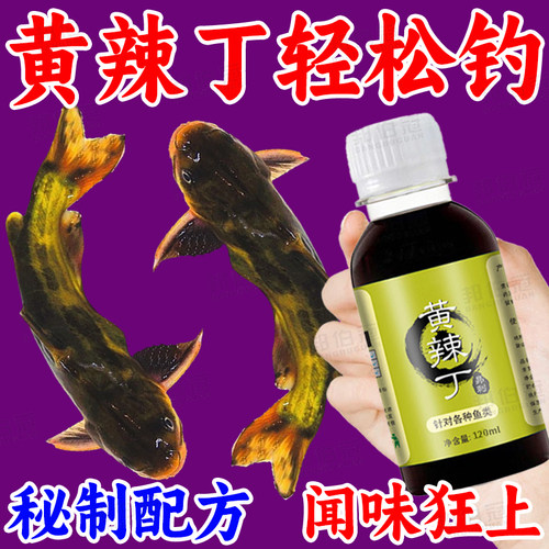 黑坑池塘野钓黄辣丁钓鱼小药