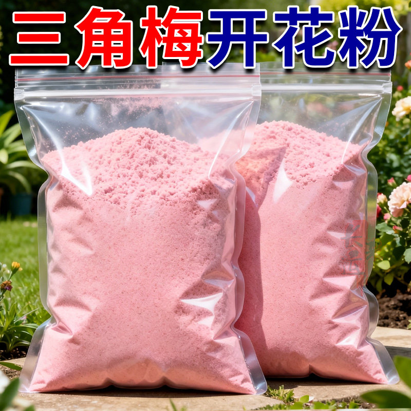 三角梅快速开花粉催花素茶花茉莉