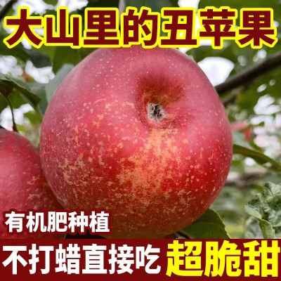 【2025年新果】正宗四川大凉山丑苹果新鲜脆甜冰糖心当季水果