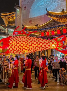 巨型手持鱼灯发光非遗手舞灯笼鱼形灯笼舞台影视道具新年景区传统