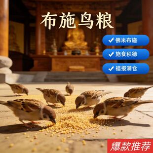 鸟粮野外小型鸟食布施麻雀斑鸠鸟类投喂带壳谷子黍子高粱天然鸟粮
