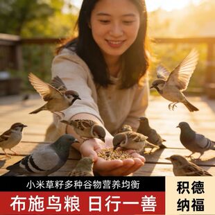 布施鸟粮鸟食麻雀 鸽子食粮 饲料小包装喜鹊五谷杂粮小米谷子户外