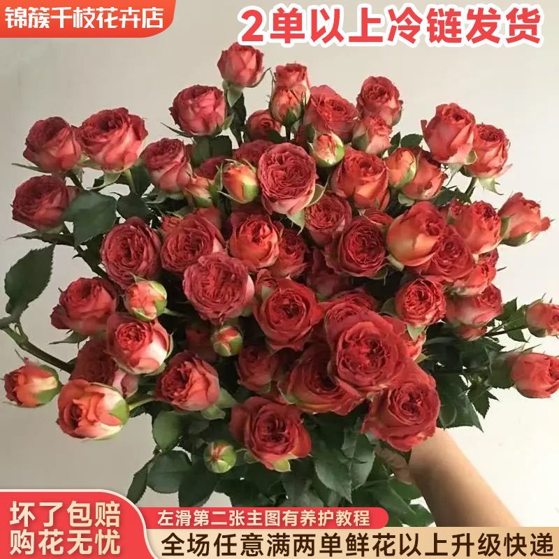 多头玫瑰全场任意满两单