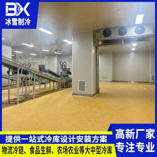 大型海鲜速冻库肉类冷冻库水果蔬菜冷藏库厂家 广东冷库工程安装