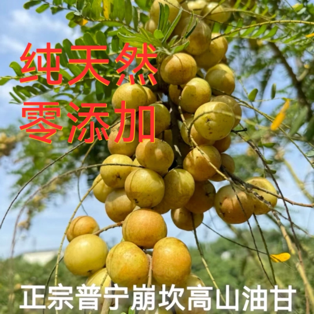 ��������������ɽ�����͸ʹ����ʲ�ժ��ʹ������͸̱��ݾ������ 200g 30.4Ԫ��5��(��6.08Ԫ/��)