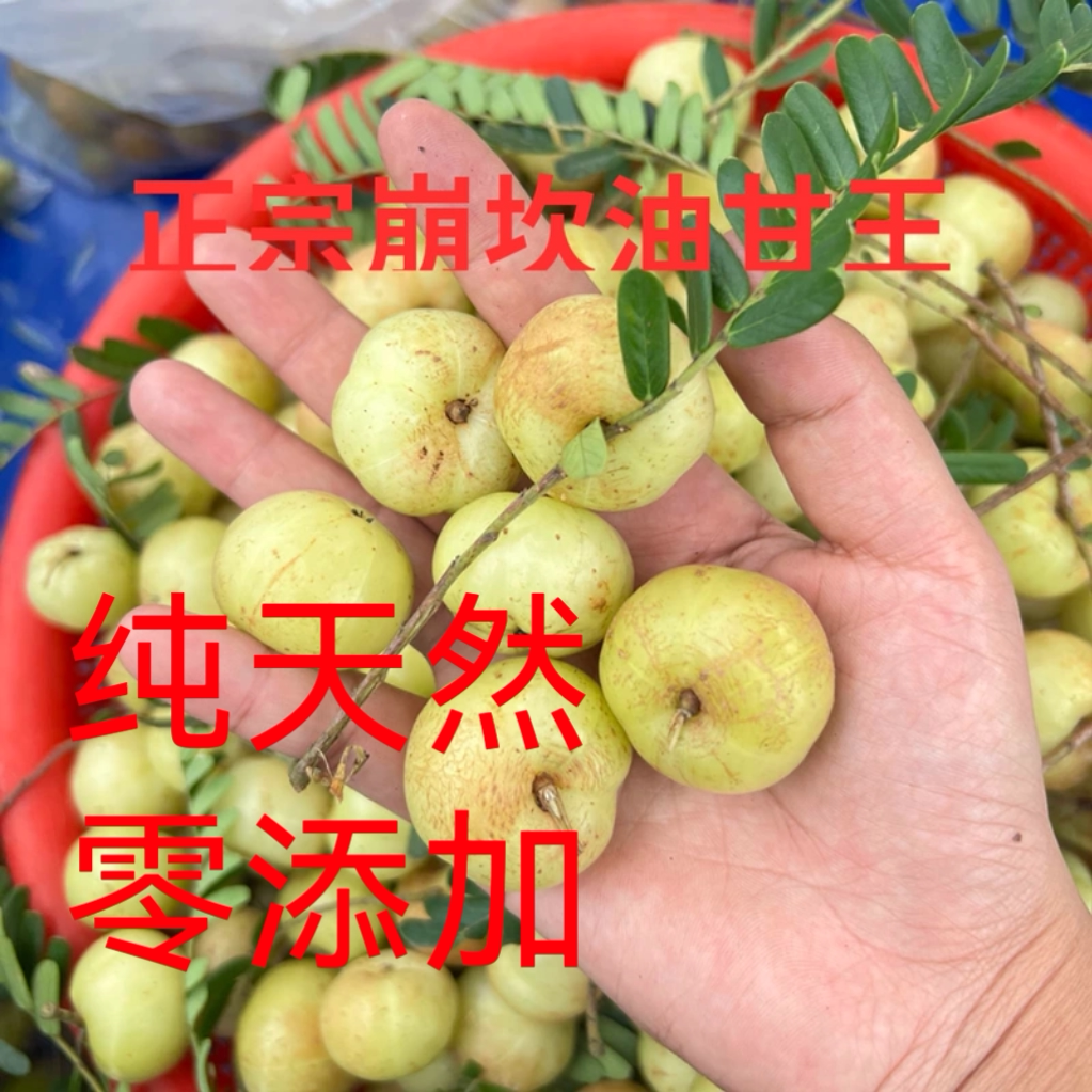 甜种油甘果新鲜采摘余甘果榨汁果滇柿饼油柑丙泡酒余甘子甜油甘果