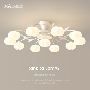 客厅隐形风扇灯2025新款餐厅吸顶力全屋套餐吊扇灯一体式静音大风