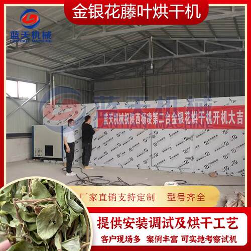 金银花叶烘干机 金银花藤忍冬藤烘干房 马鞭草艾草叶半枝莲风干房