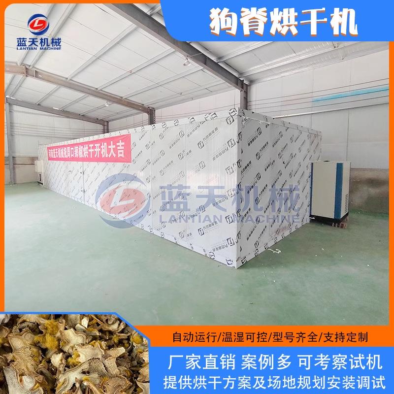 金毛狗脊烘烤房 电加热药材金狗毛蕨狗脊切片烘干设备 狗脊烘干机