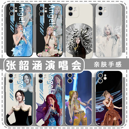张韶涵演唱会手机壳应援周边