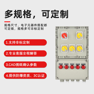 4防爆配电箱铝合金电源控制箱检修照明动力开关接线配电柜 BXD51