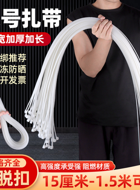 大号尼龙扎带国标加厚塑料卡扣固定捆绑耐寒黑色园艺自锁式扎线带