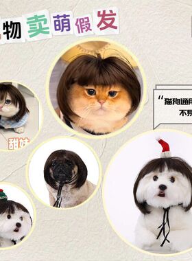 宠物小狗狗波波头假发大脸猫可爱头套搞怪宠物头饰假发帽