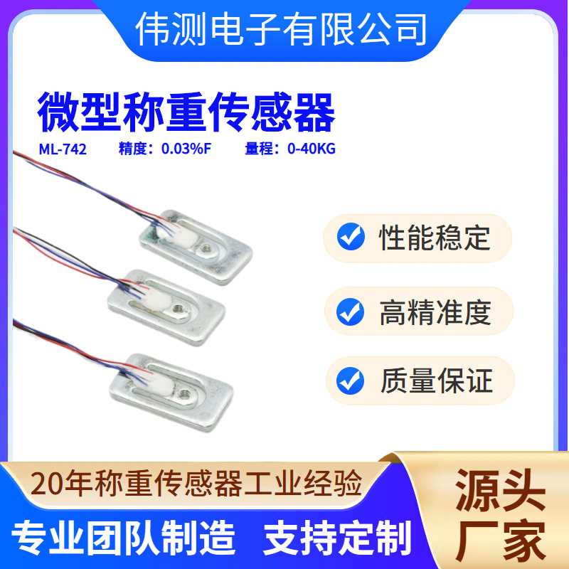 伟测ML742高精度吊钩电子秤｜图片