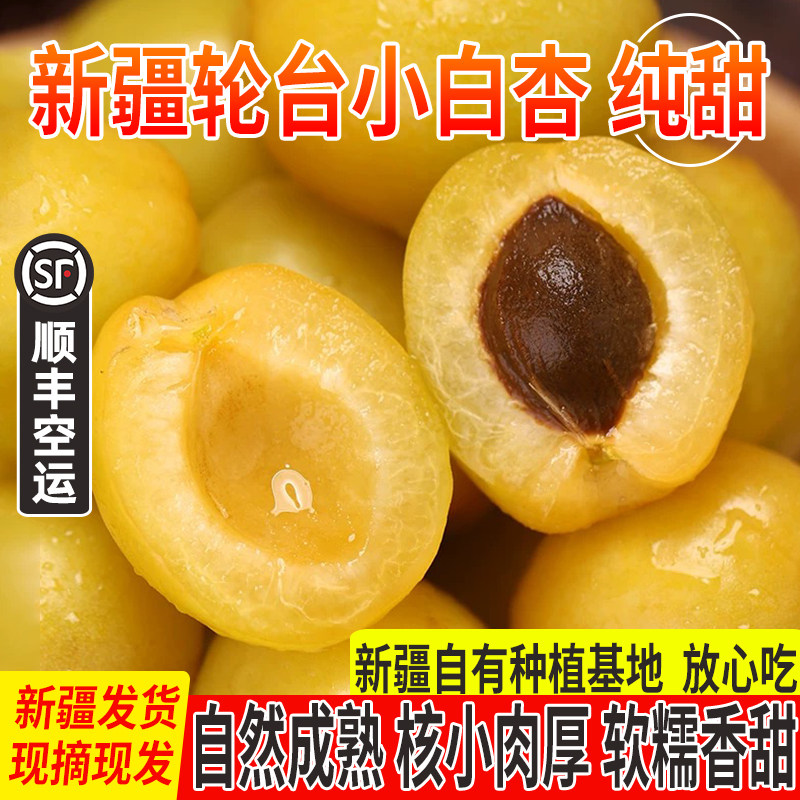 新疆轮台小白杏应当季新鲜水果现摘现发库车纯甜杏子红杏顺丰空运