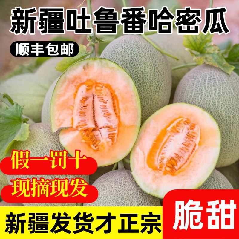 新疆吐鲁番哈密瓜应当季新鲜水果西州蜜25号网纹甜瓜顺丰整箱包邮
